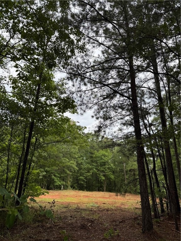 Pending $195,000 • Co-Listing Agent