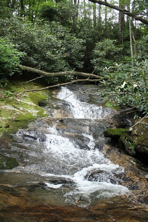 Satulah Falls
