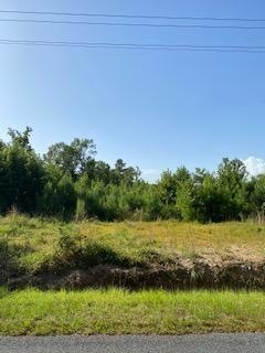Wesley Chapel 3