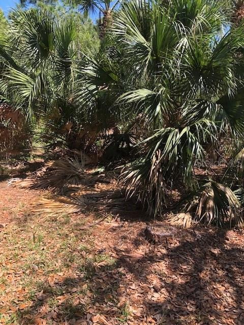 0 Begonia Terrace unit MFRA4580382, North Port, FL 34286 - photo 1