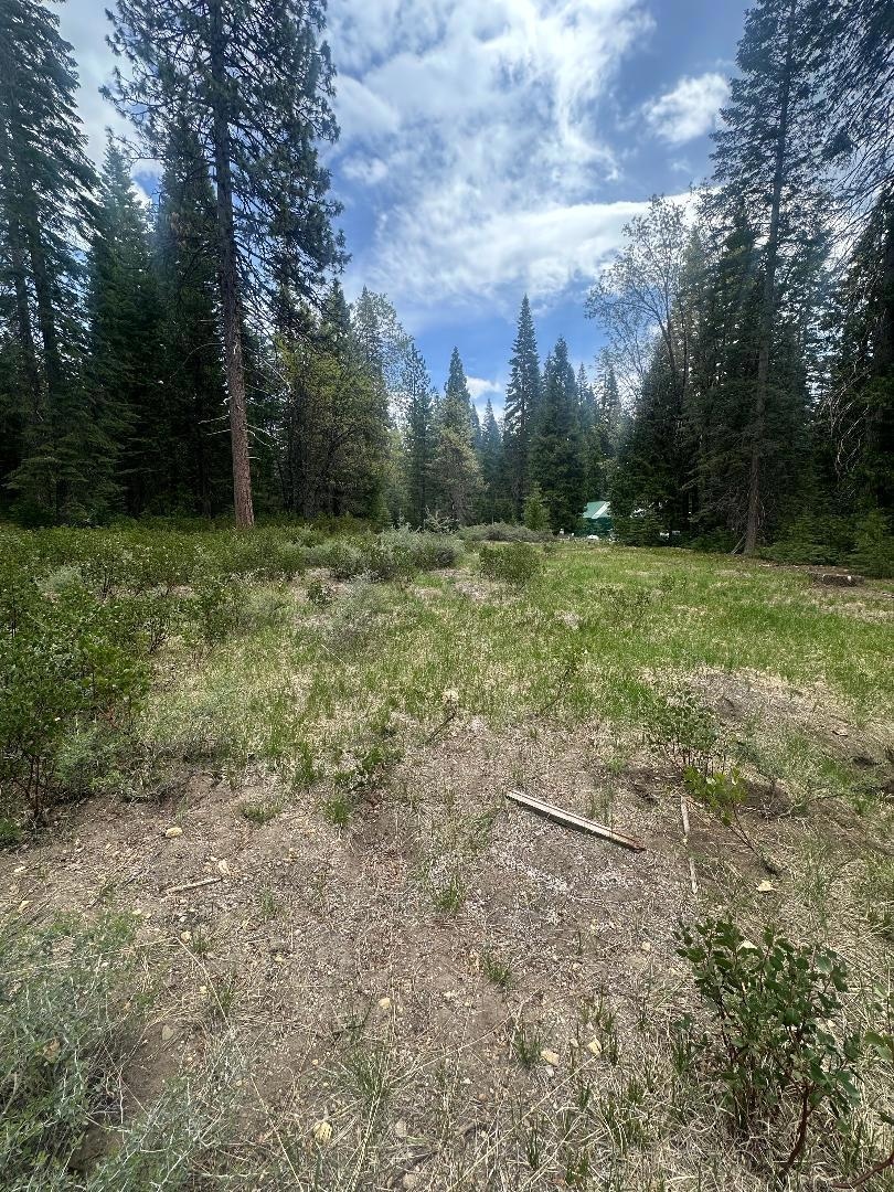 0 Widow Springs Dr, McCloud, CA 96057 - photo 1