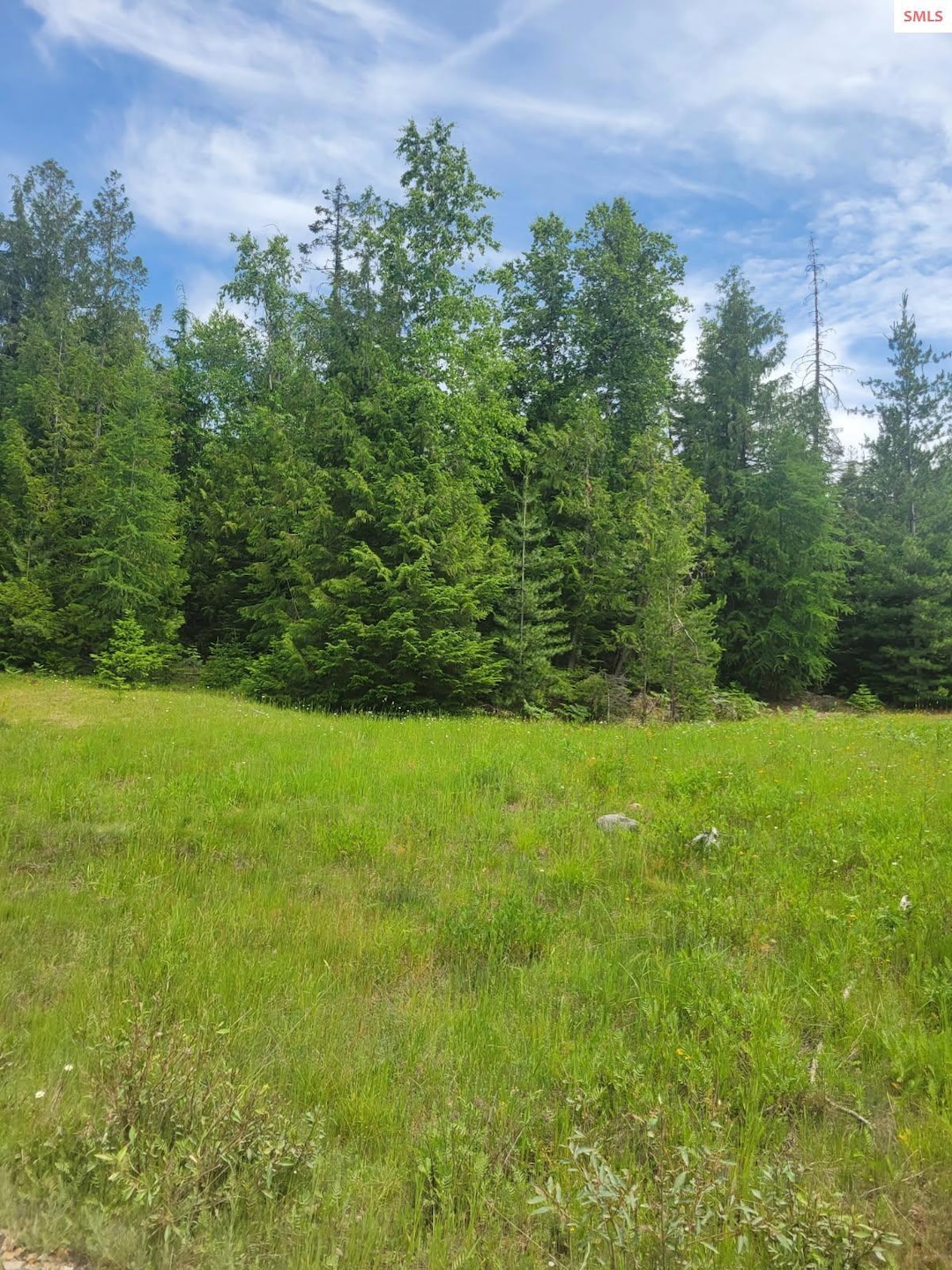 nna Rising Hawk Ridge, Sandpoint, ID 83864 - photo 1