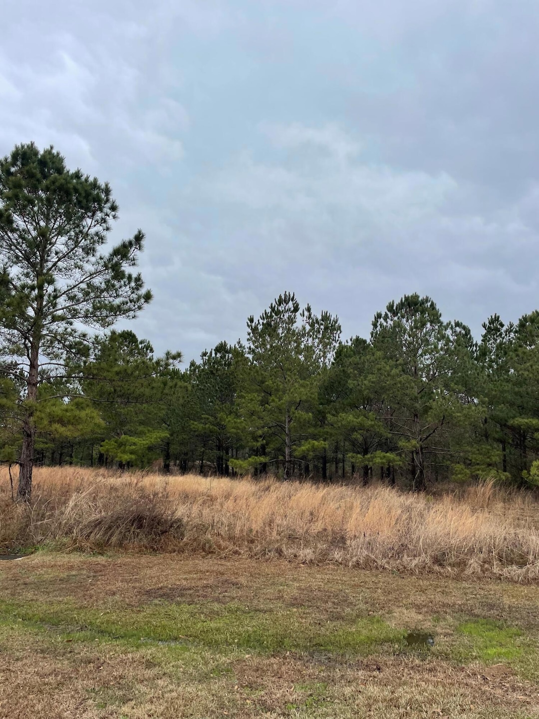 lot 13 Sumrall Rd, Columbia, MS 39429 - photo 1