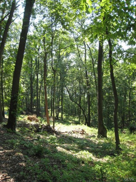 87 Chestnut Hill Rd, Emmaus, PA 18049 - photo 1