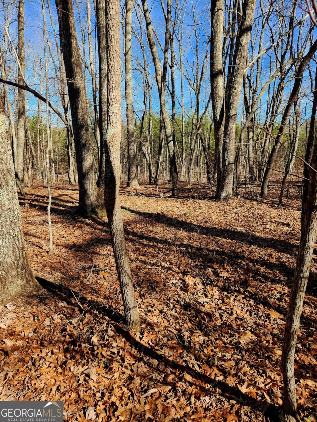 Sold $45,000 • Co-Listing Agent