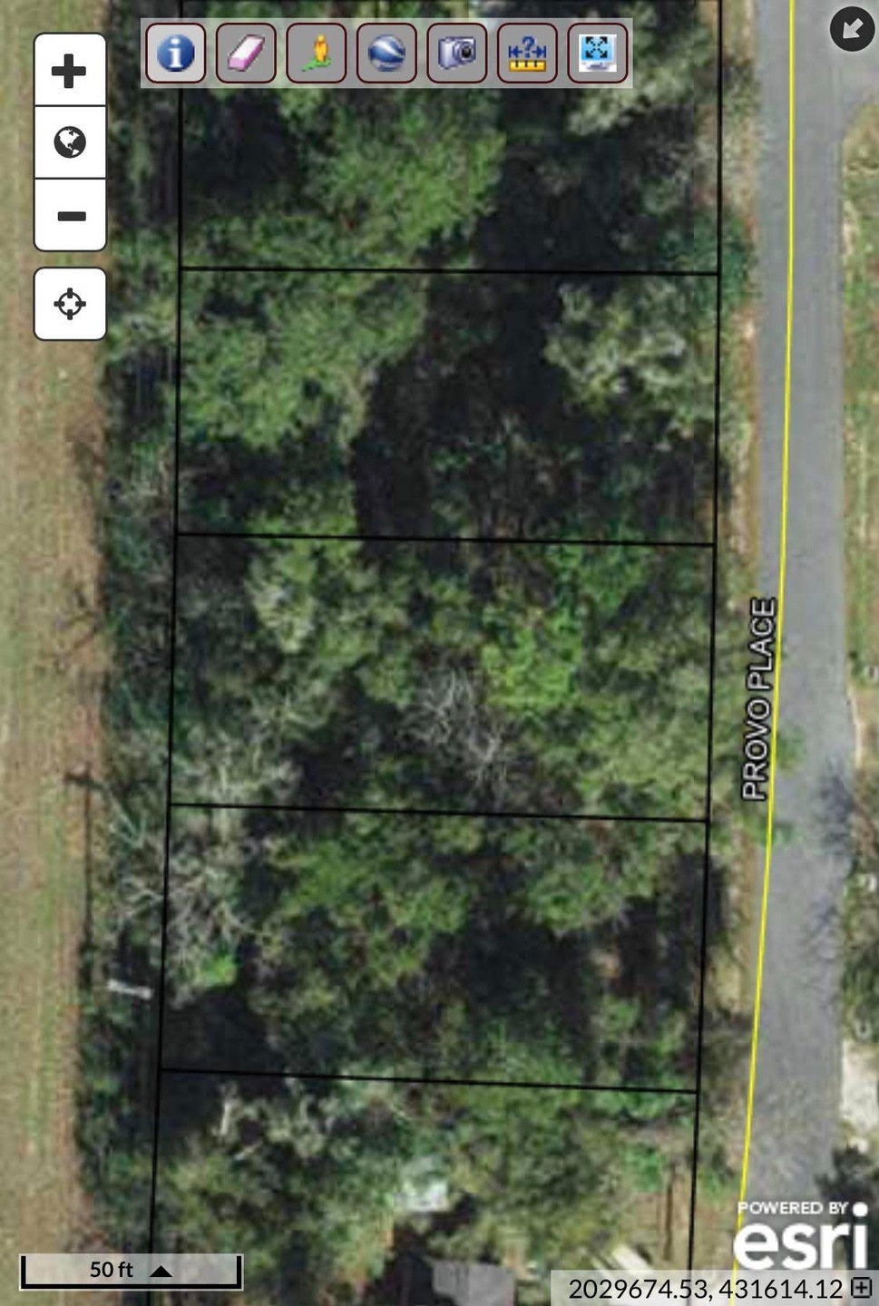 10 Provo Place, Crawfordville, FL 32327 - photo 1