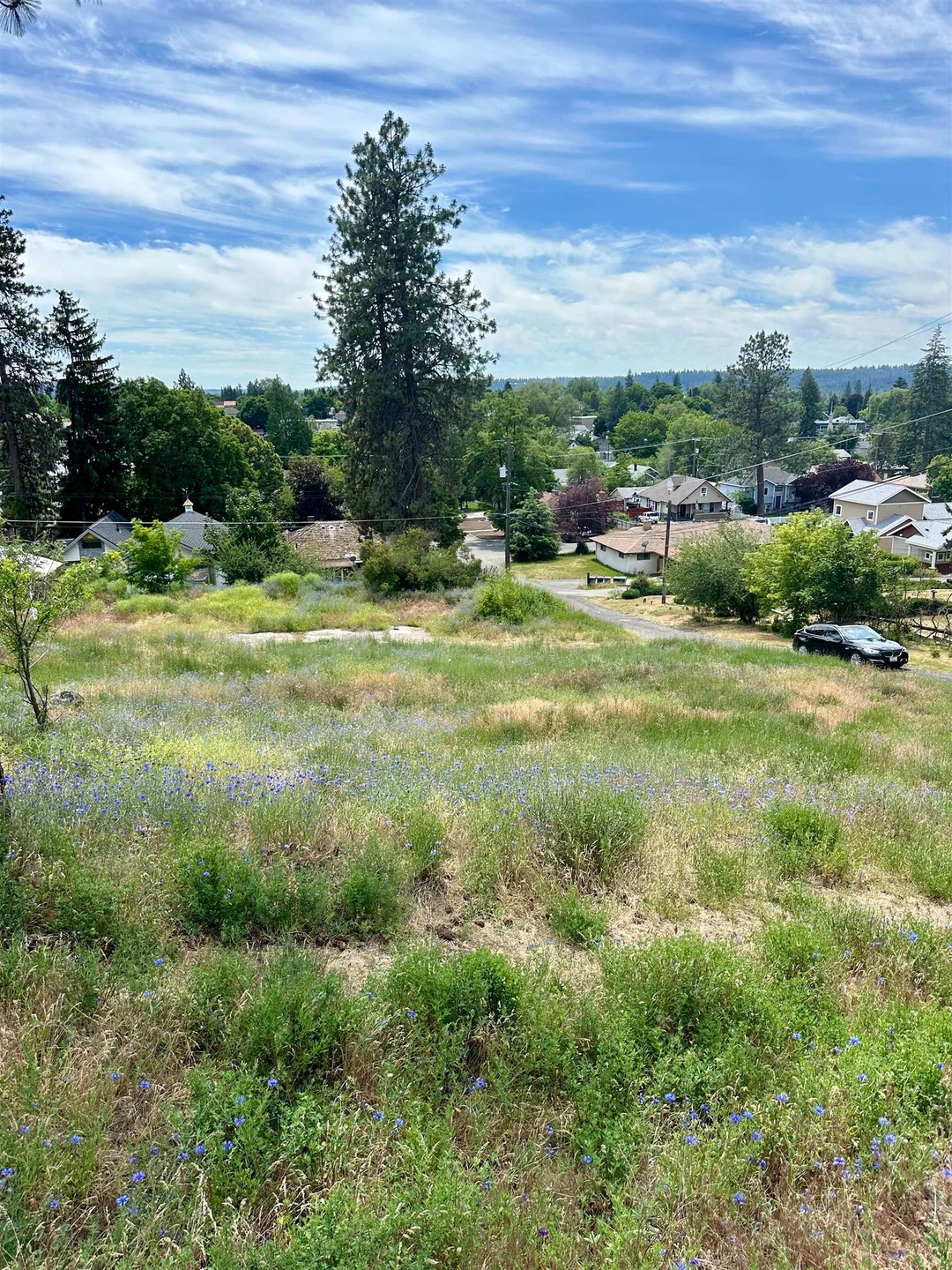 3028 N Belt St, Spokane, WA 99205 - photo 1