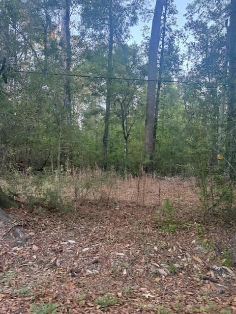 0 N Will Richardson Rd, Parish Governing Authority District 9, LA 70454 - photo 1