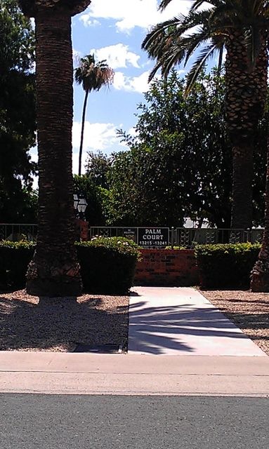 13239 N 110th Ave, Sun City, AZ 85351 - photo 1