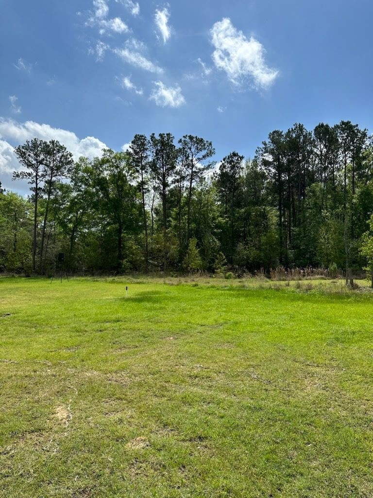 3100 Main St, Rosenberg, TX 77471 - photo 1