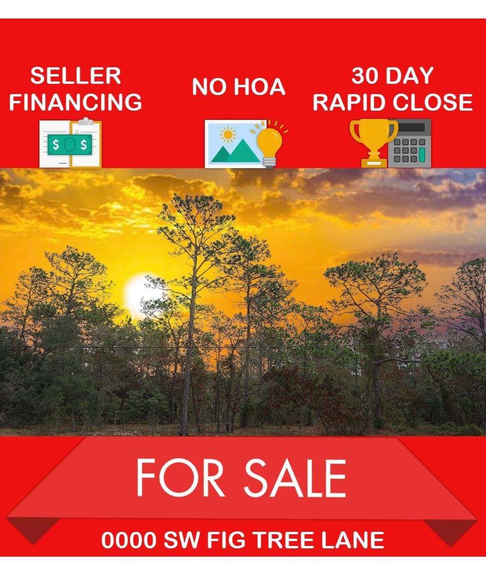 Seller Financing, No HOA, Rapid Close