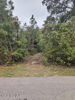 131 Powhatan Trail, Arrowhead Beach, NC 27932 - photo 1