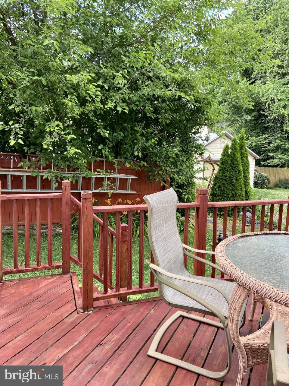 3223 Brunswick Ave, Drexel Hill, PA 19026 - photo 1