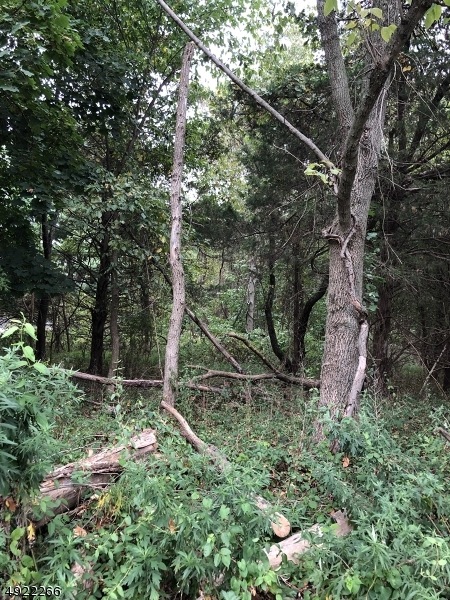 0 Hollow Rd unit 3581301, Skillman, NJ 08558 - photo 1