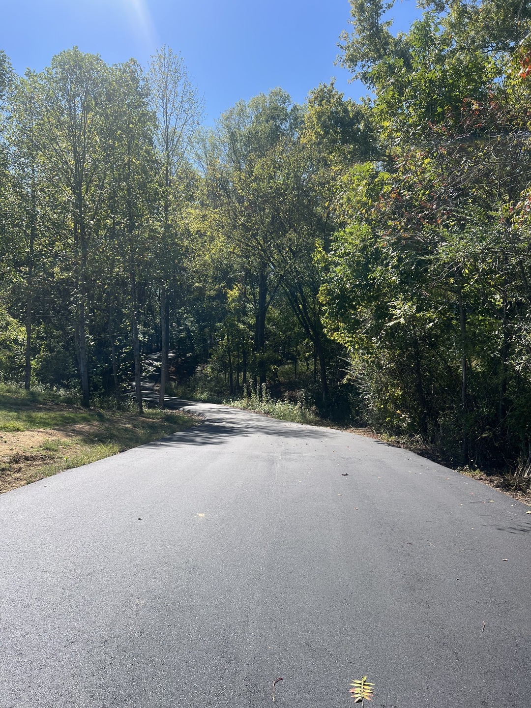 2967 Lights Chapel Rd, Greenbrier, TN 37073 - photo 1