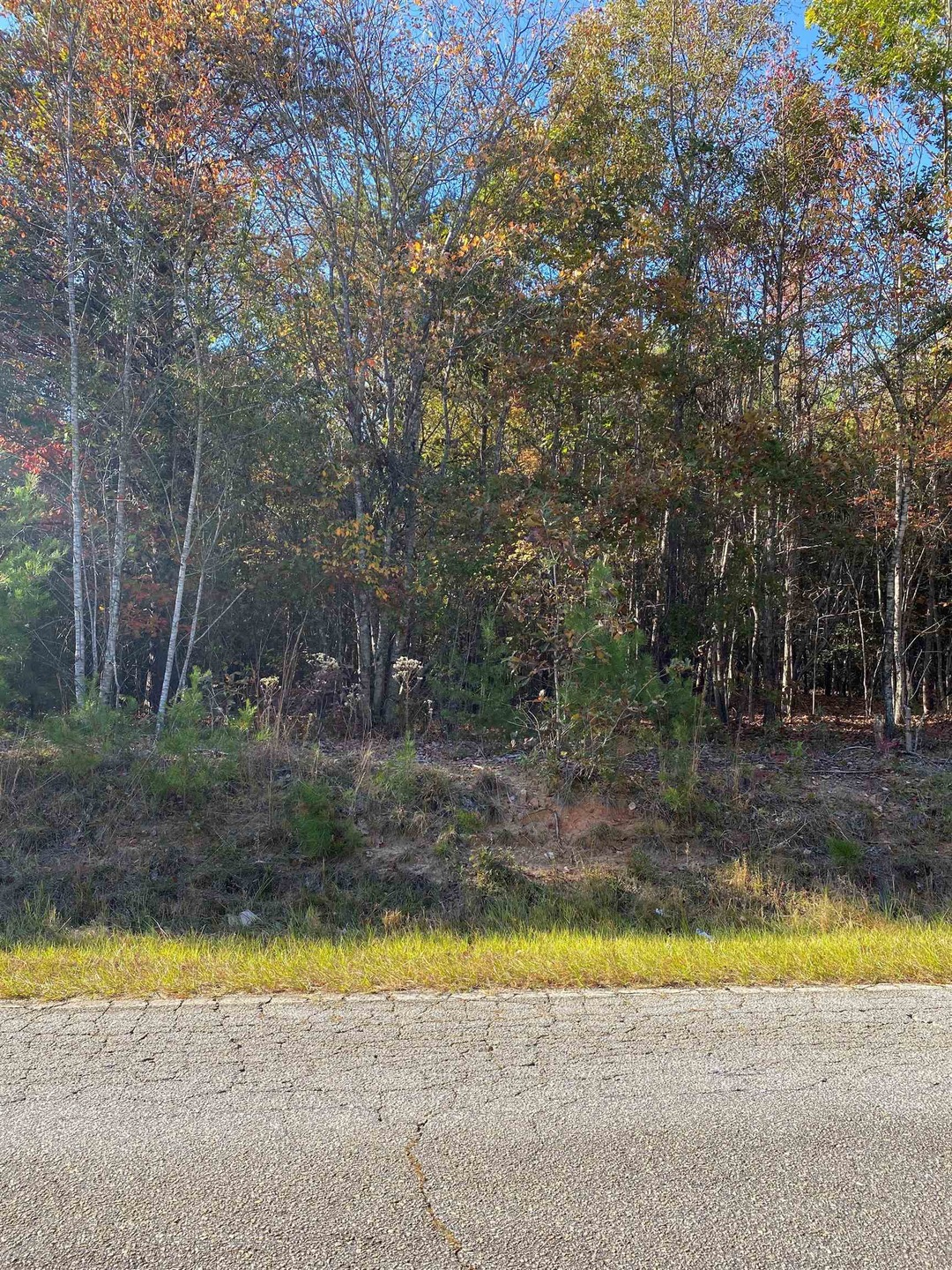 00 Evins Rd, Pauline, SC 29374 MLS 305461