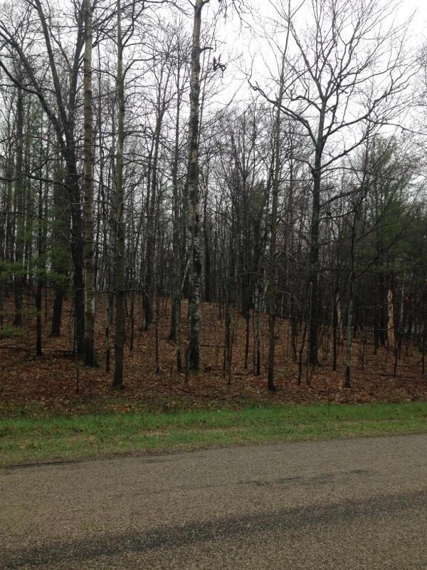 Spring view of the lot