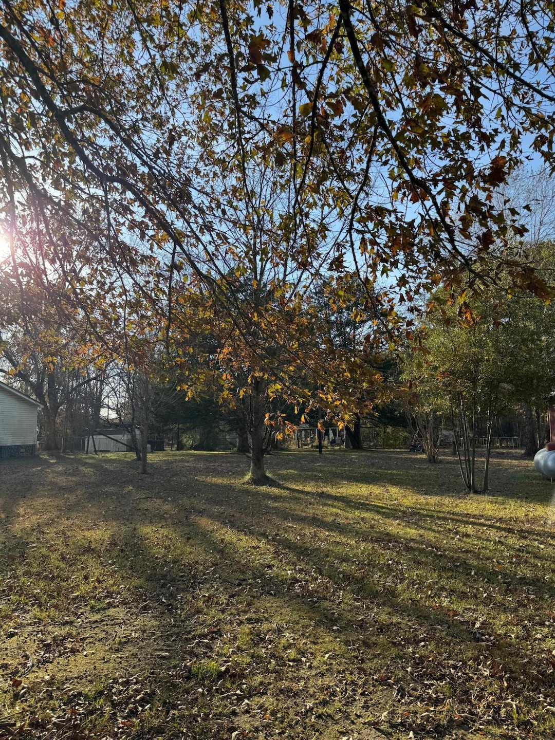 0 Cates Dr, Guntown, MS 38849 - photo 1