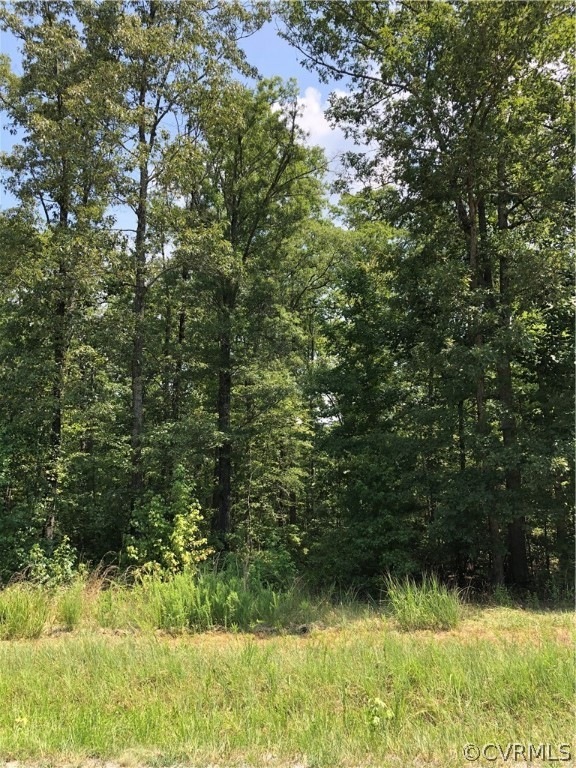 00 Dove Hollow Dr, Louisa, VA 23093 - photo 1