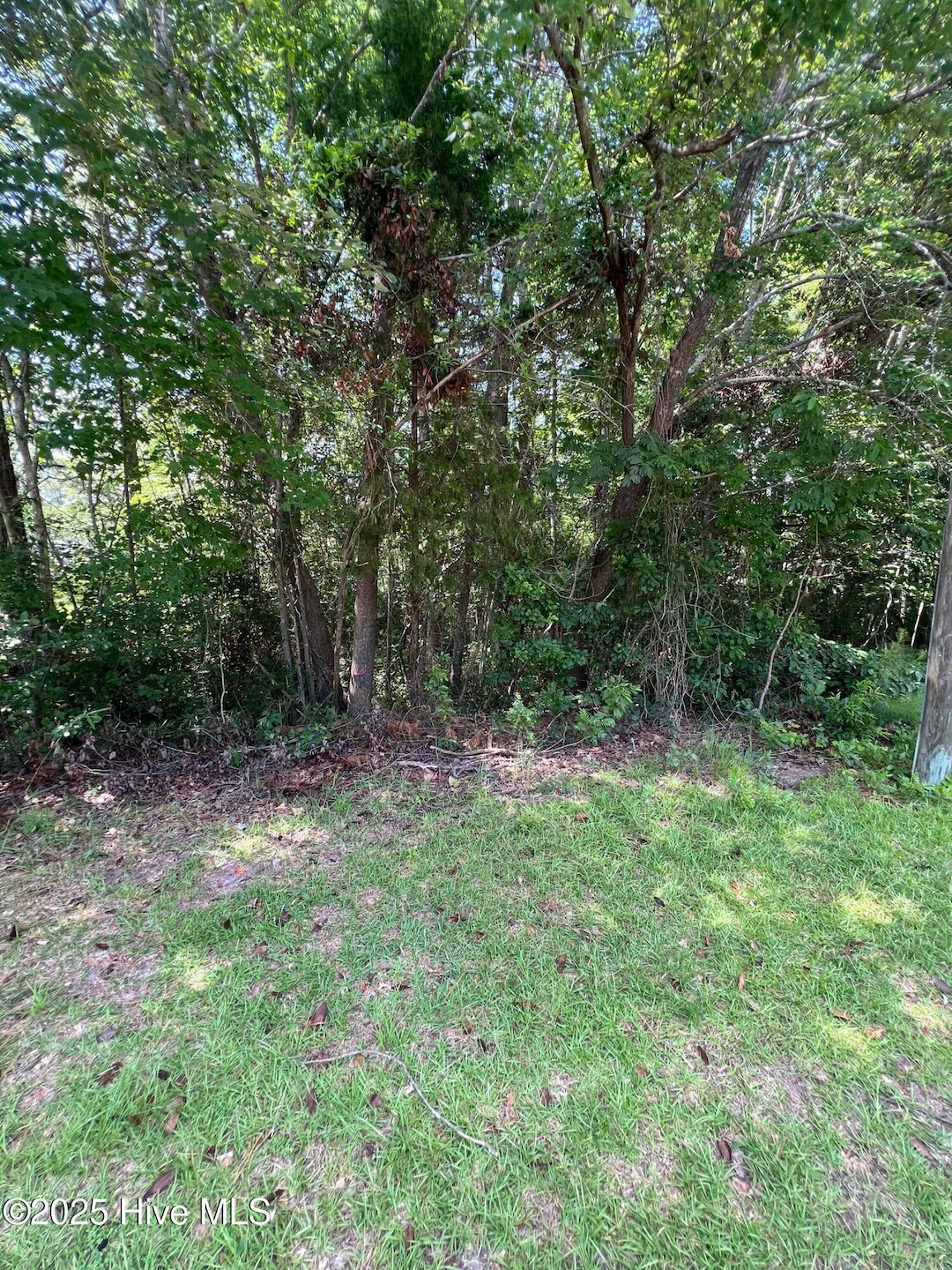 301 Spring Lake Dr, Pinehurst, NC 28374 - photo 1