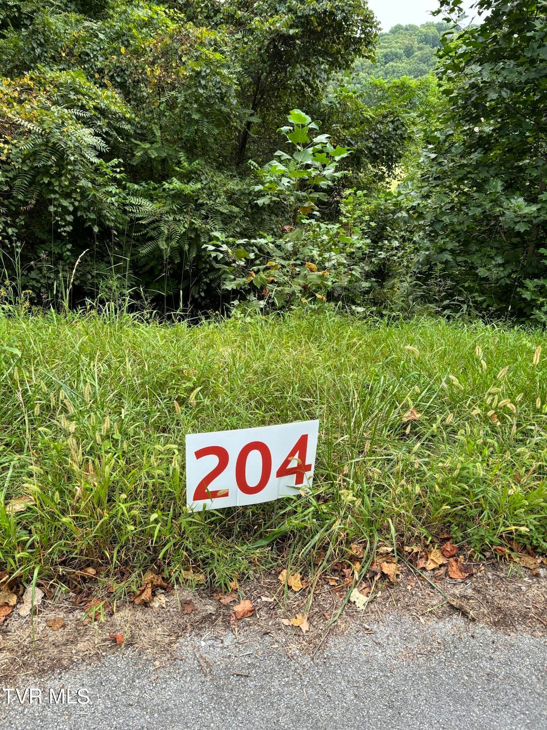 204 Ox Bow Ave, Unicoi, TN 37692 - photo 1