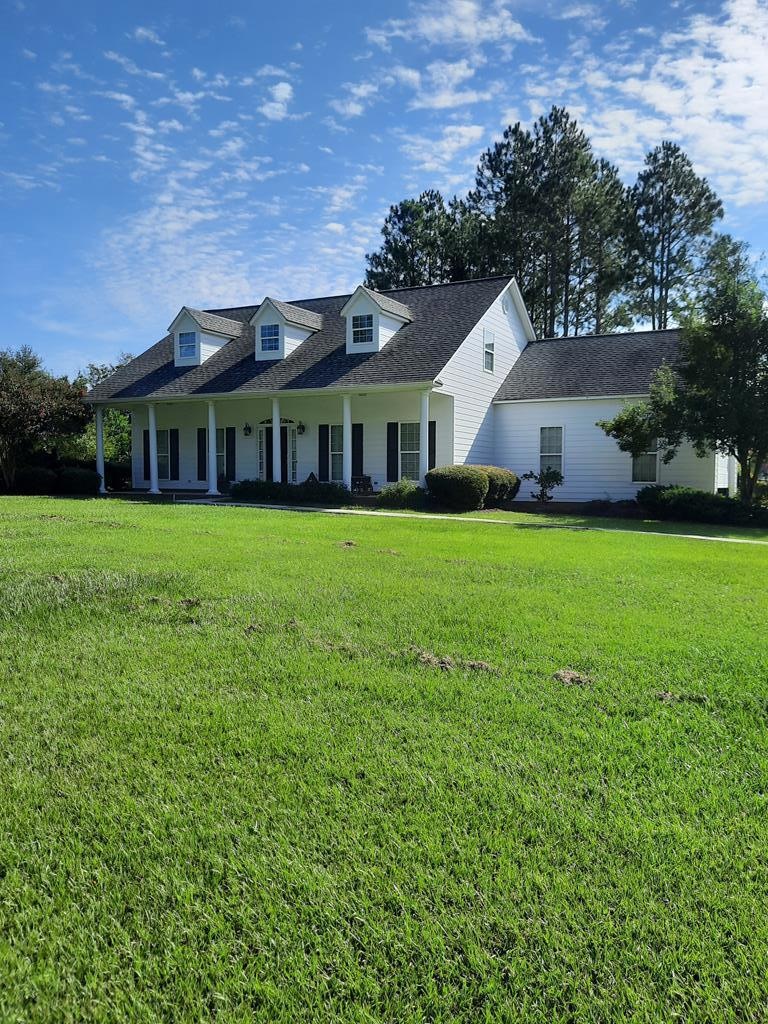 Main View
