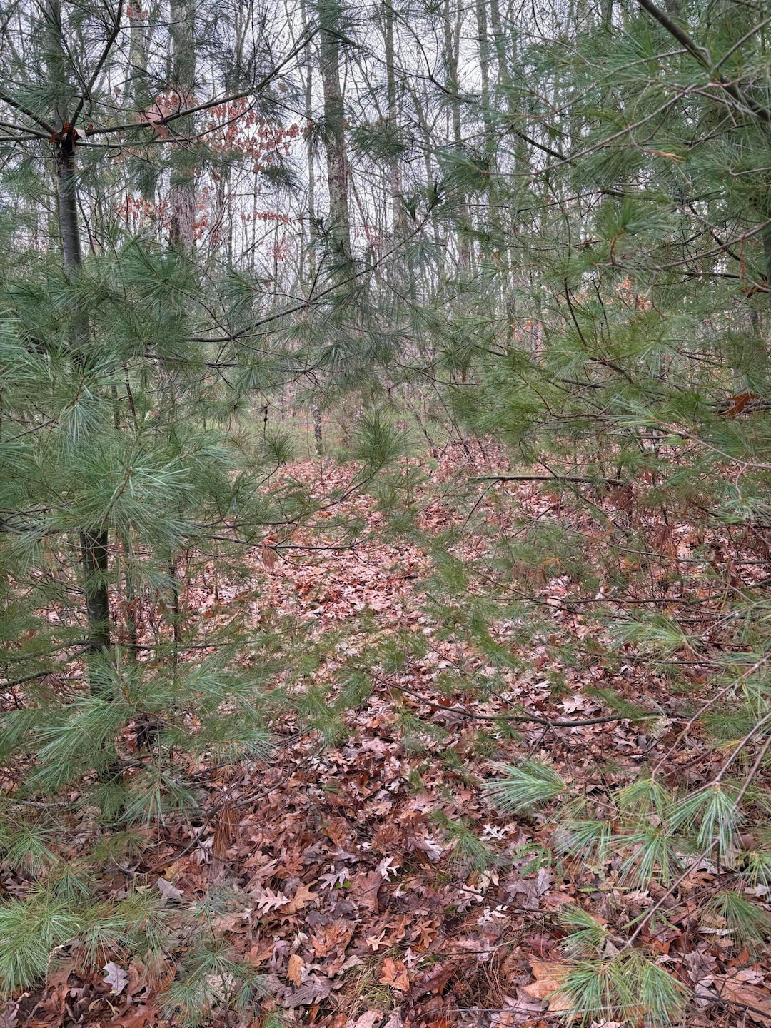 M11 Lot 02 Joseph Way, Waterboro, ME 04030 - photo 1