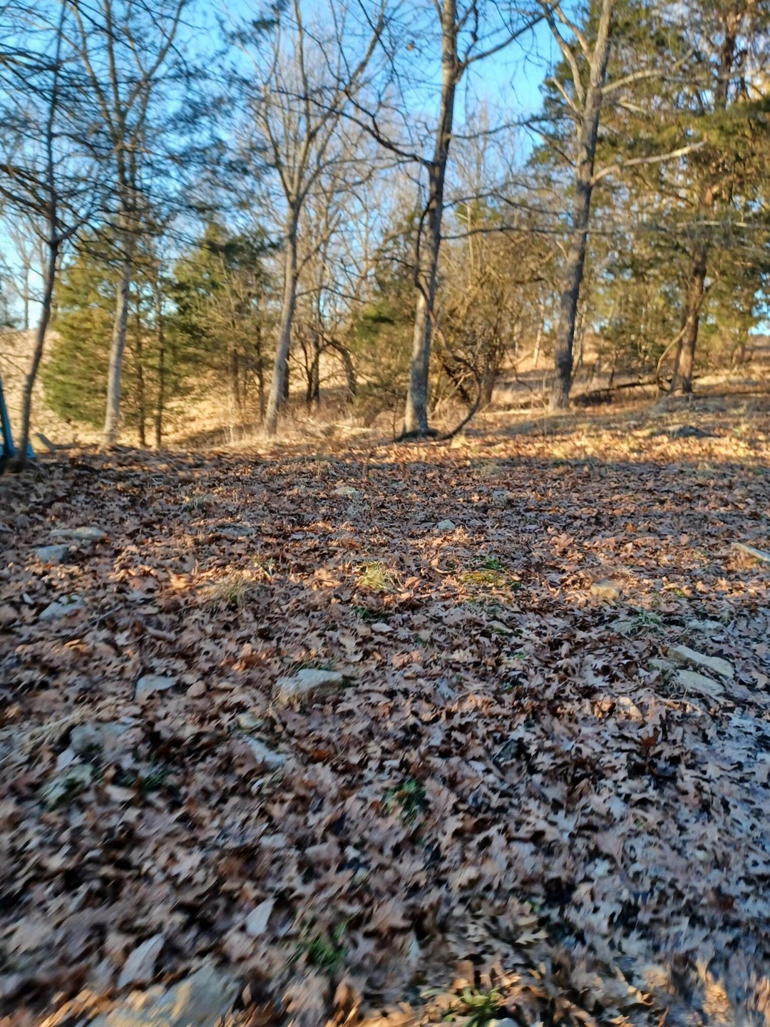 4699 Talmage Mayo Rd, Harrodsburg, KY 40330 - photo 1