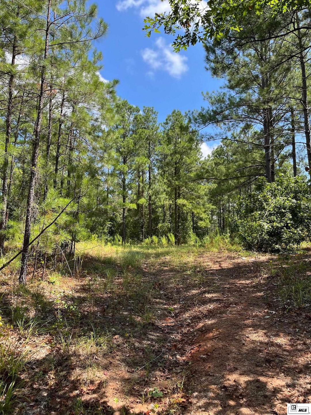 0 Bradford Rd, Choudrant, LA 71227 - photo 1