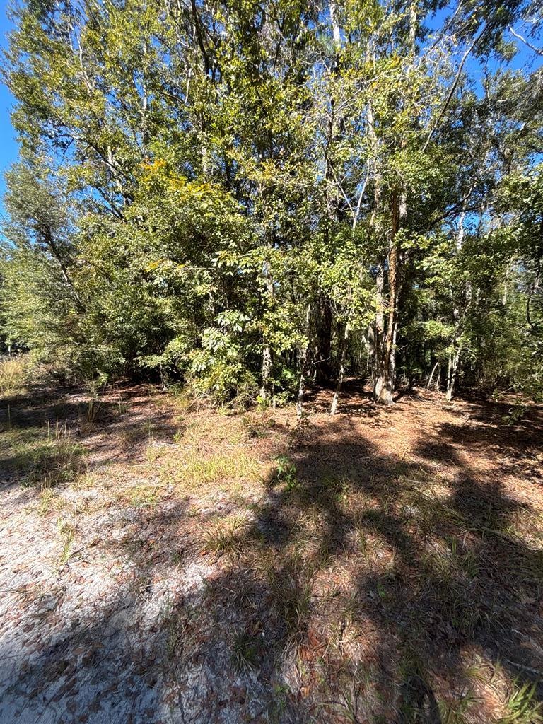 Lot 3 SE 843rd St, Old Town, FL 32680 - photo 1