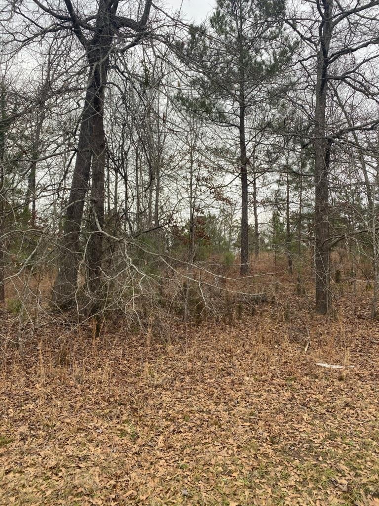 Lot 12 Pointe Shores, Lincolnton, GA 30817 - photo 1