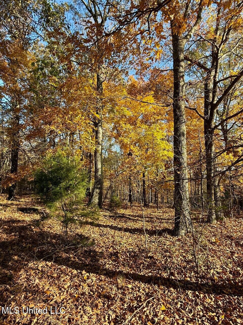 Sold • Co-Listing Agent