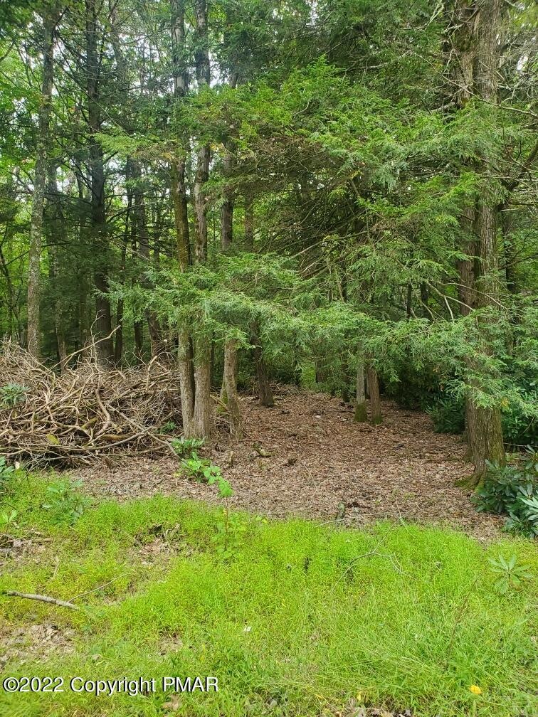 158 Lower Valley Dr, Kunkletown, PA 18058 - photo 1