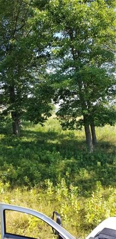 vacant Swenson Rd, Au Gres Township, MI 48703 - photo 1