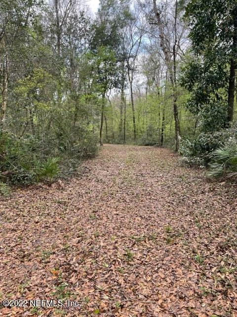 0 Honeysuckle Cir unit 1158361, Middleburg, FL 32068 - photo 1