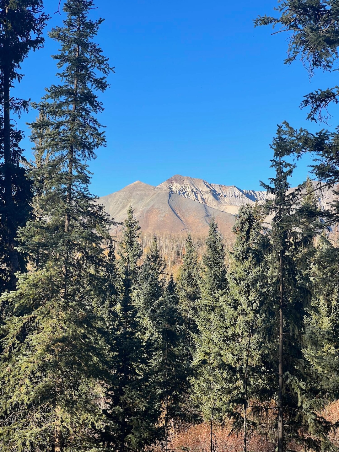 Campbell Peak