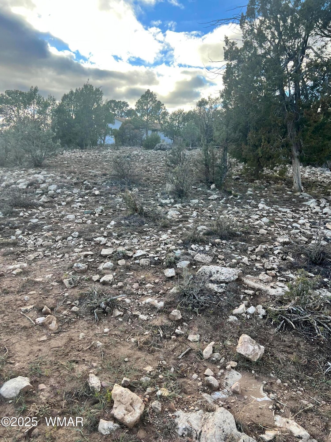 2820 Pine Hill Dr, Overgaard, AZ 85933 - photo 1