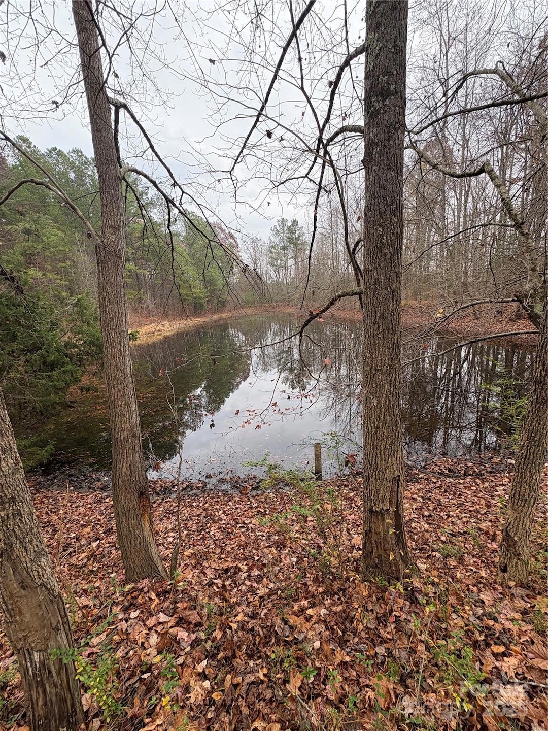 000 Laton Rd, Albemarle, NC 28001 - photo 1