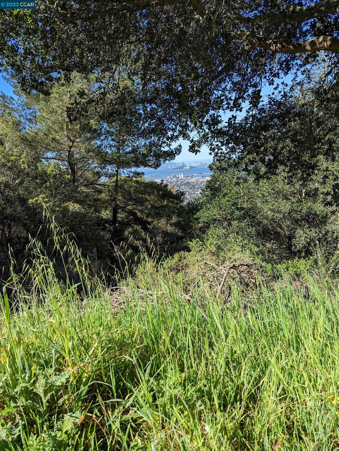 900 Panoramic Way, Berkeley, CA 94704 - photo 1