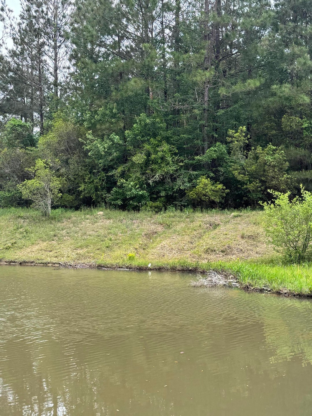 For Sale $100,000 • Co-Listing Agent
