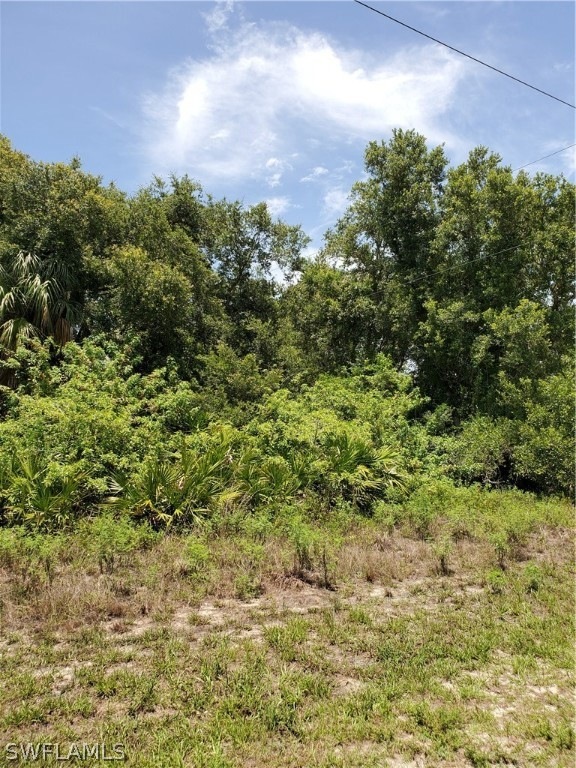 2903 E 18th St, Lehigh Acres, FL 33972 - photo 1