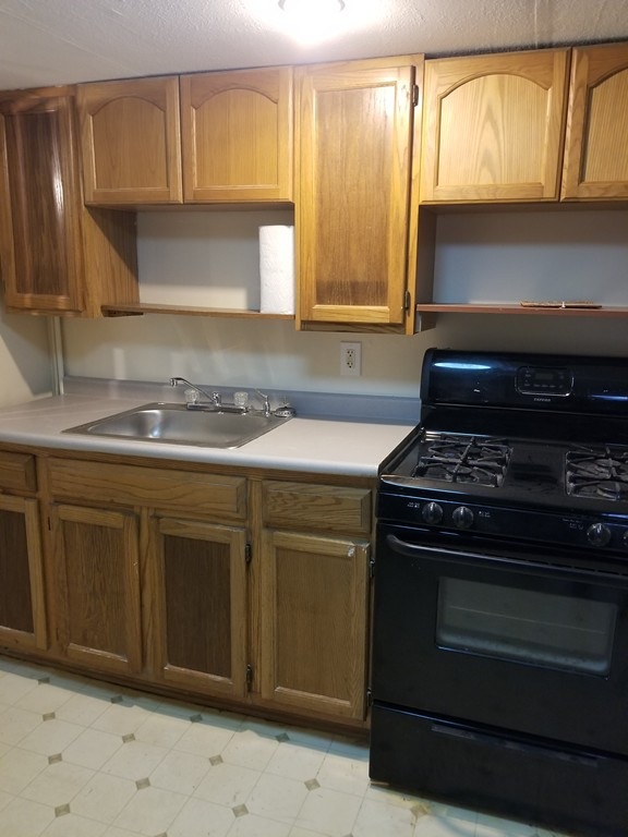 10 Appian Way unit 1, Allston, MA 02134 - photo 1