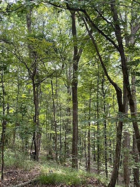 Midway Rd 39086 - photo 1