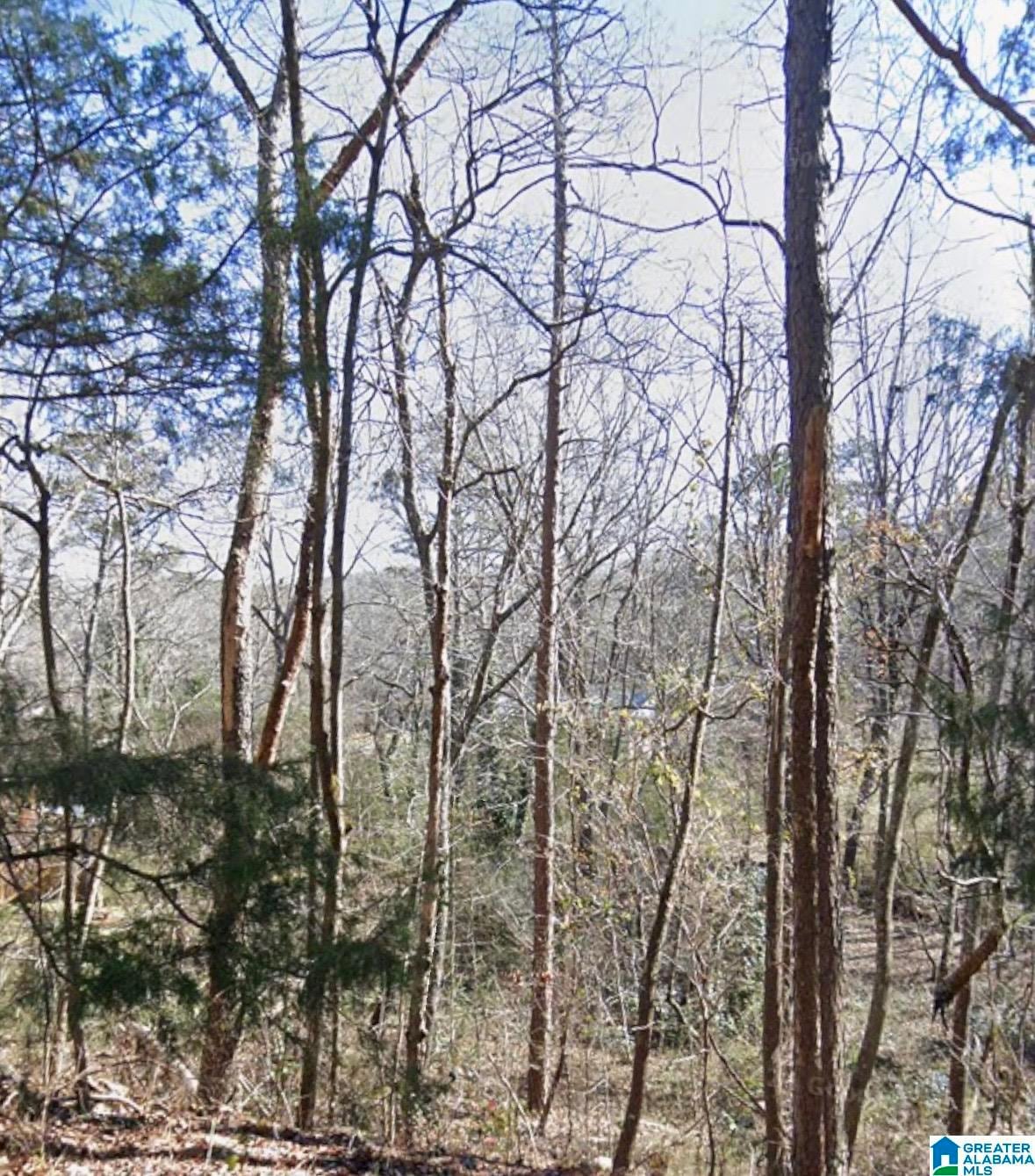 0 Ridgely Dr unit 21437103, Anniston, AL 36207 - photo 1