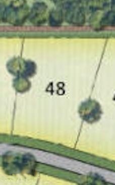 Lot 48 Verbena