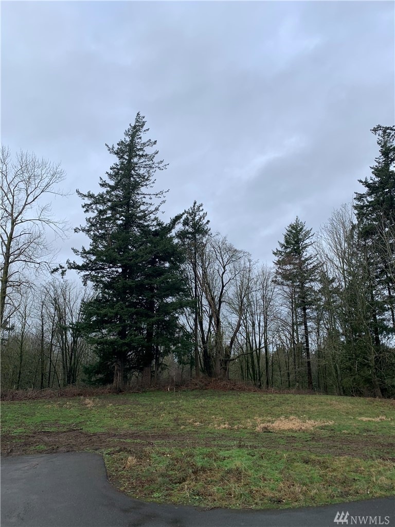 1180 Mukluk Place, Ferndale, WA 98248 - photo 1