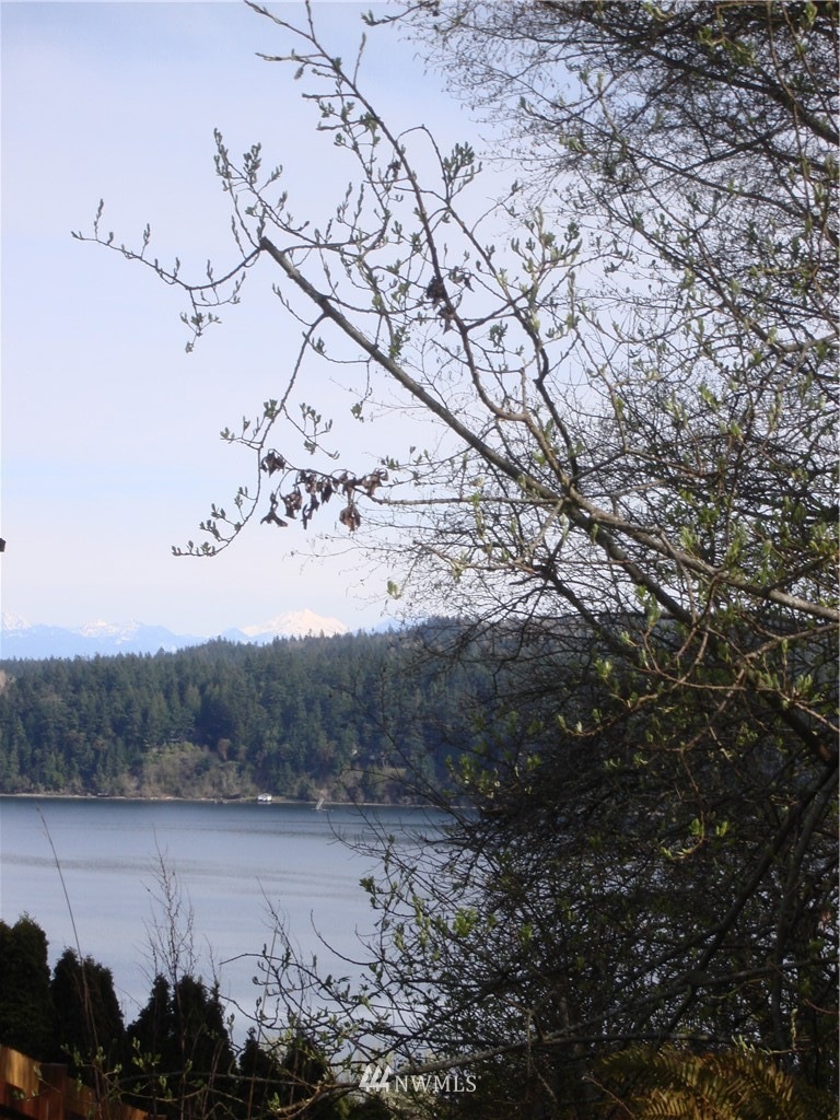 Standing on the lot, toward the back to get the optimal elevation, there is view potential.