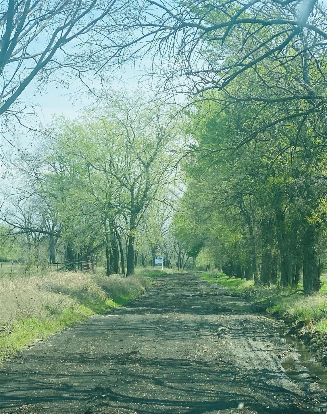 View of street