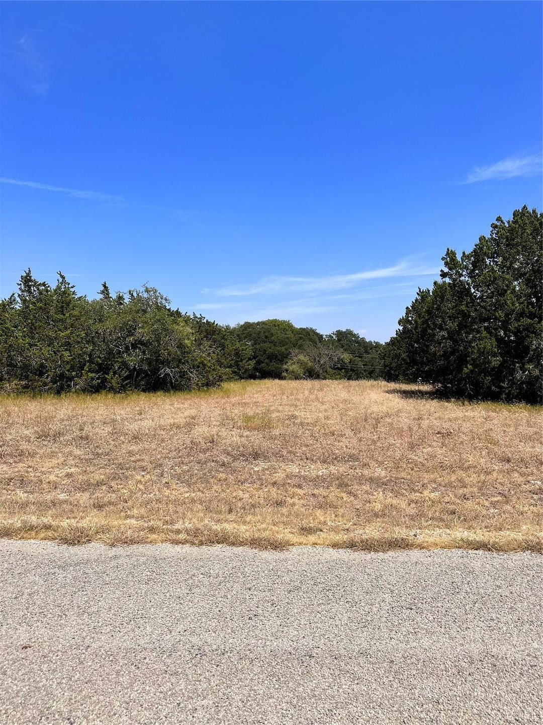 19014 Bluebonnet Dr, Whitney, TX 76692 - photo 1