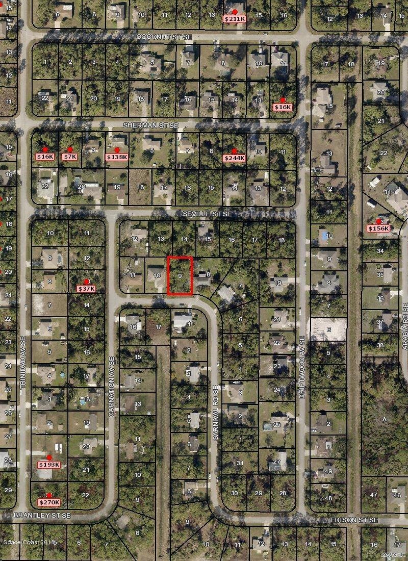 CARNIVAL 817 LOT LISTING  1-10-19